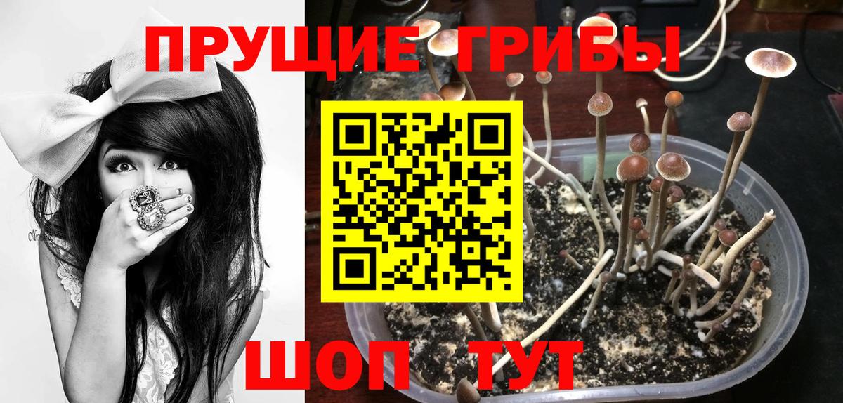 Галлюциногенные грибы Magic Shrooms Углич
