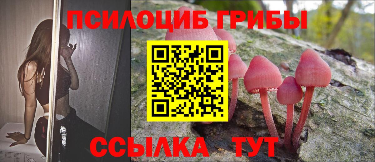 Галлюциногенные грибы Psilocybine cubensis  Вход с VPN  Галлюциногенные грибы ЛСД  Углич 